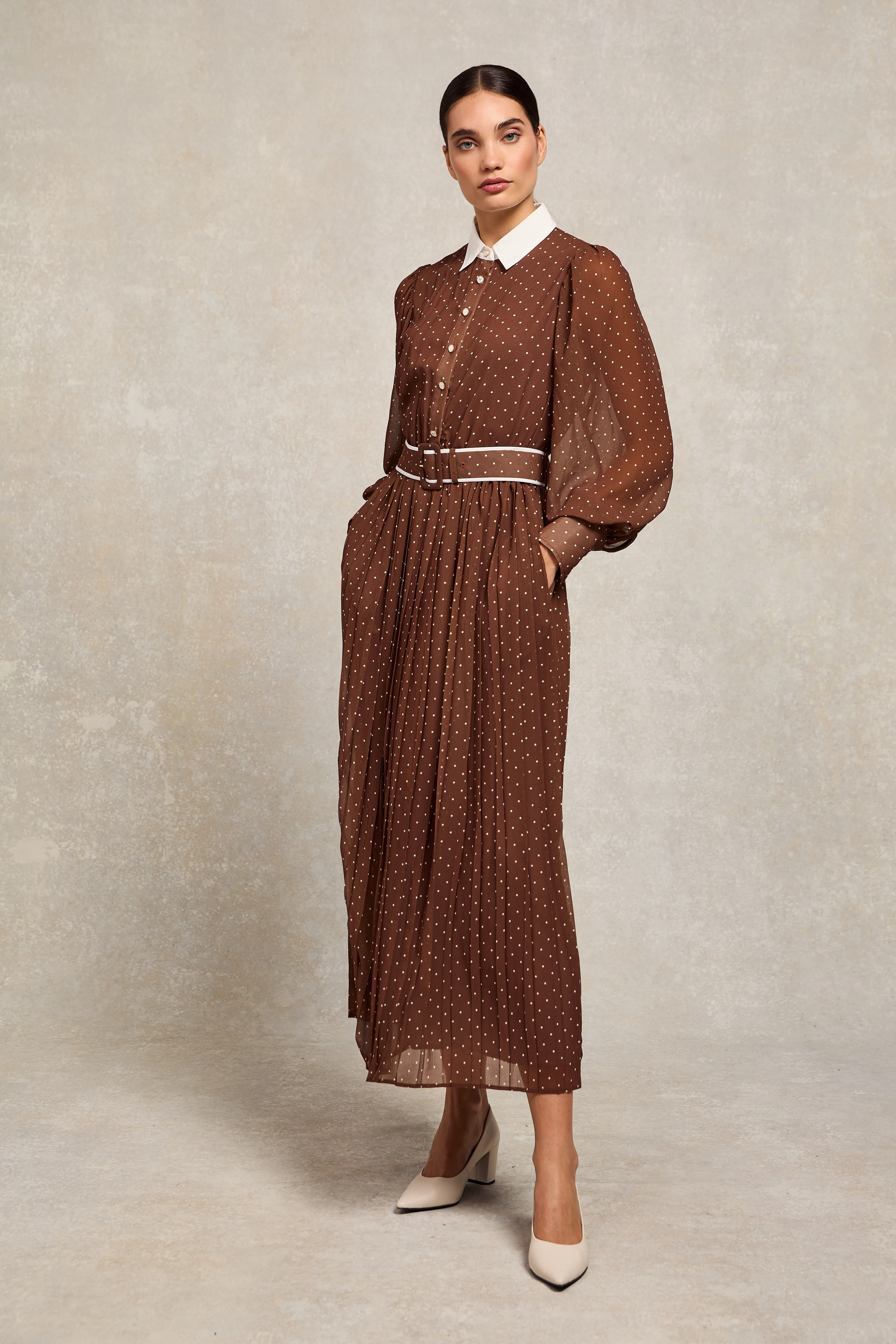 Annabel Pleated Maxi Dress (Chestnut Polka Dot) - Image 2