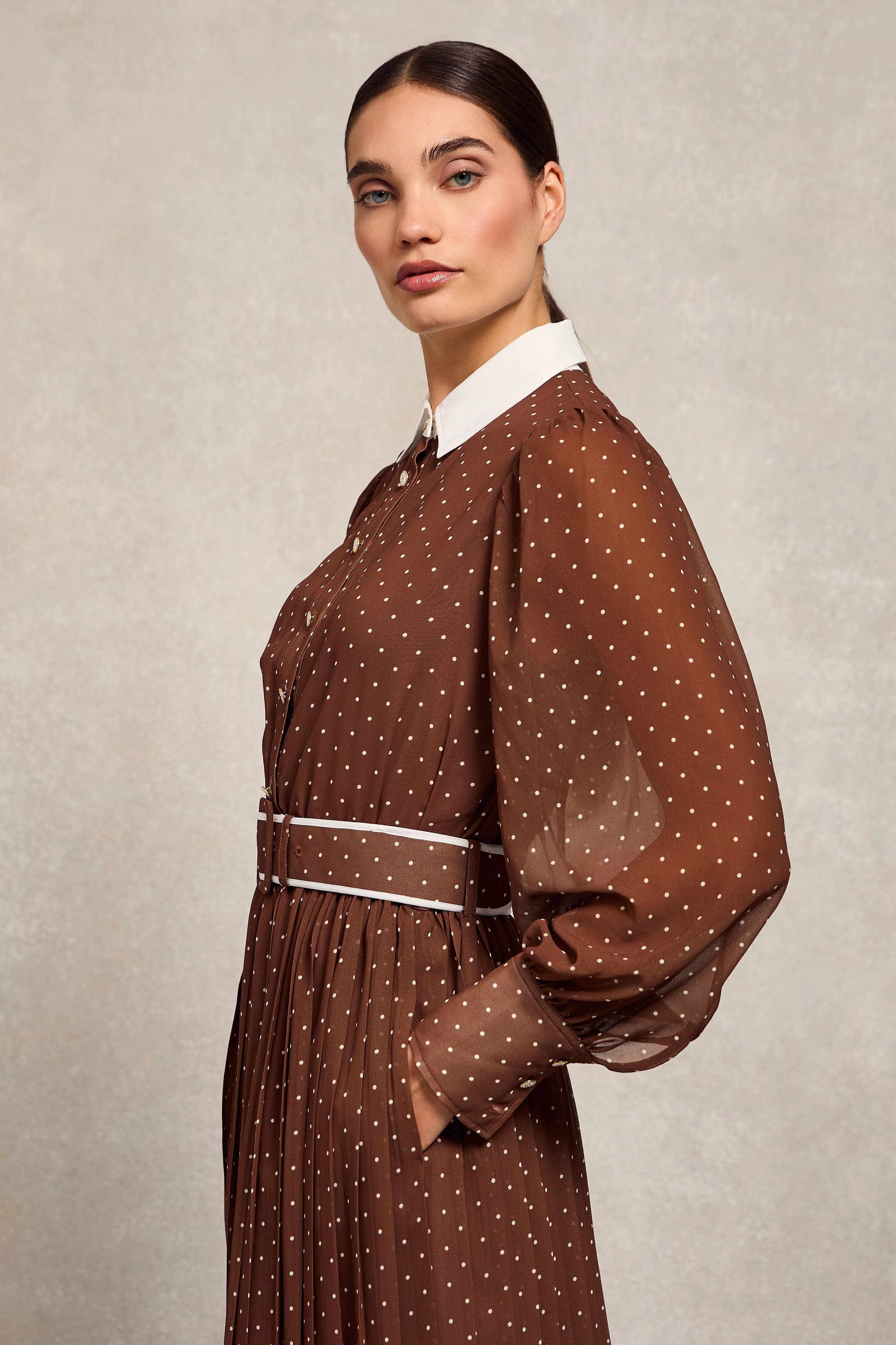 Annabel Pleated Maxi Dress (Chestnut Polka Dot) - Image 9