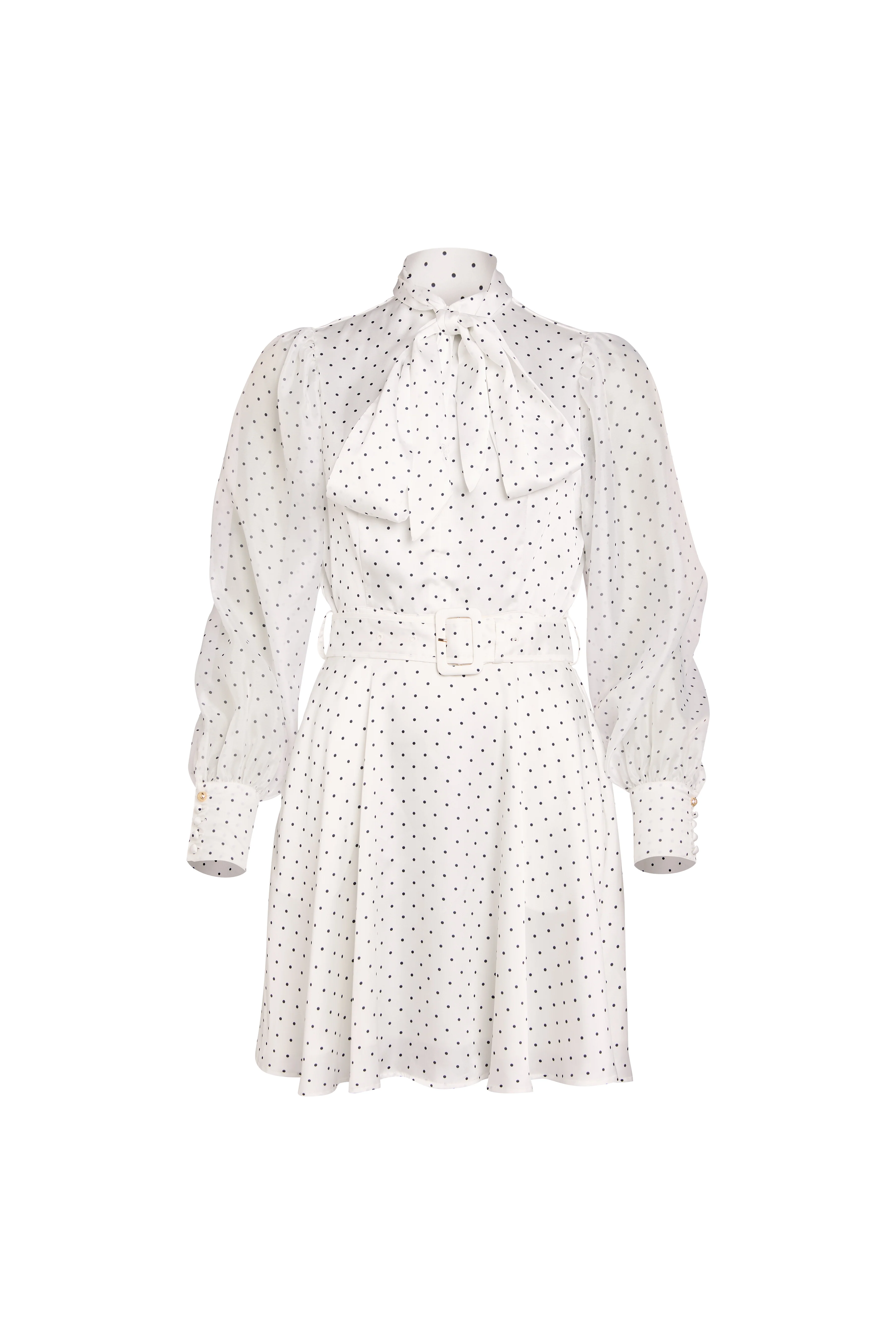 Ariella Mini Dress (White Polka Dot) - Image 4