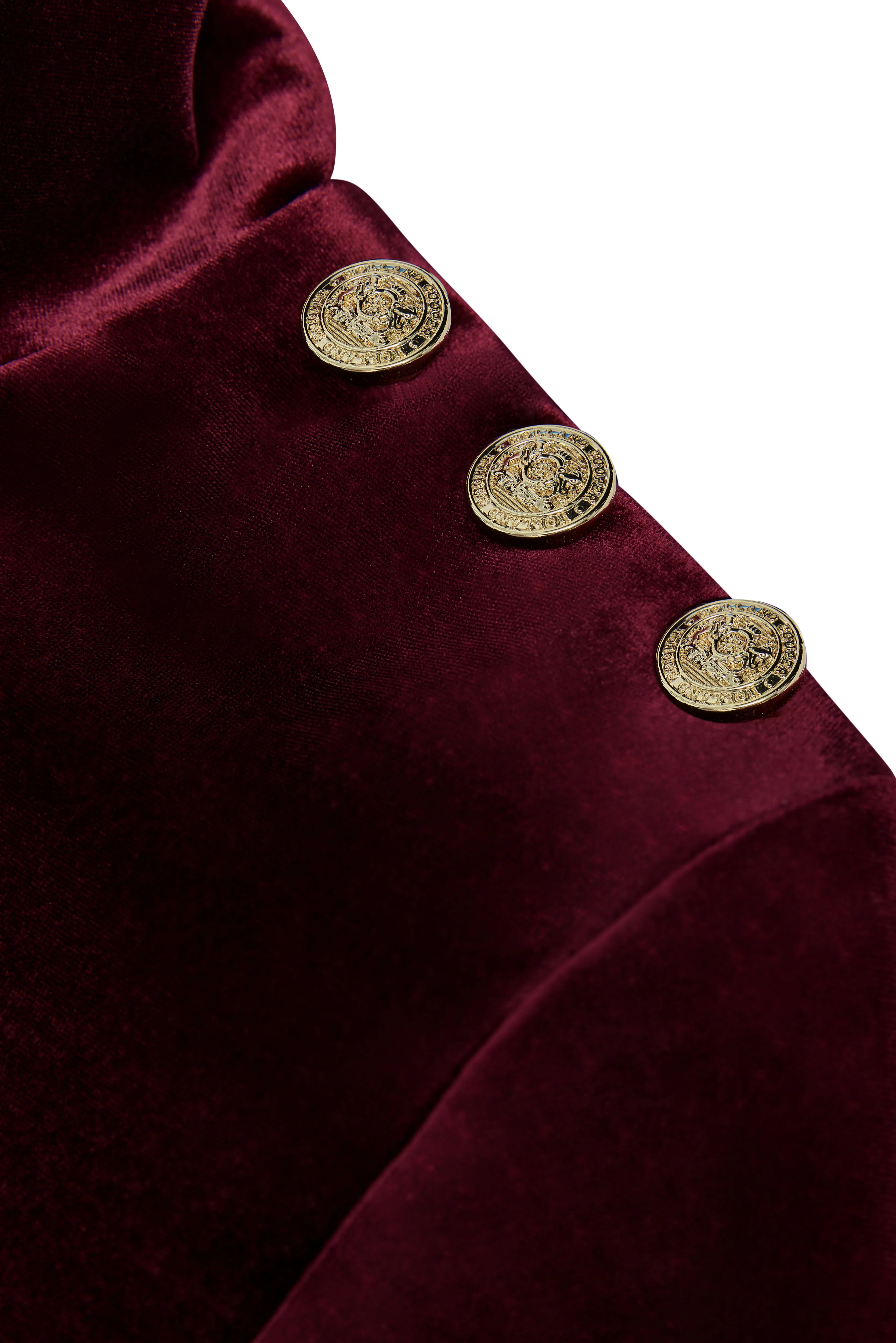 Cara Velvet Mini Dress (Burgundy) - Image 7