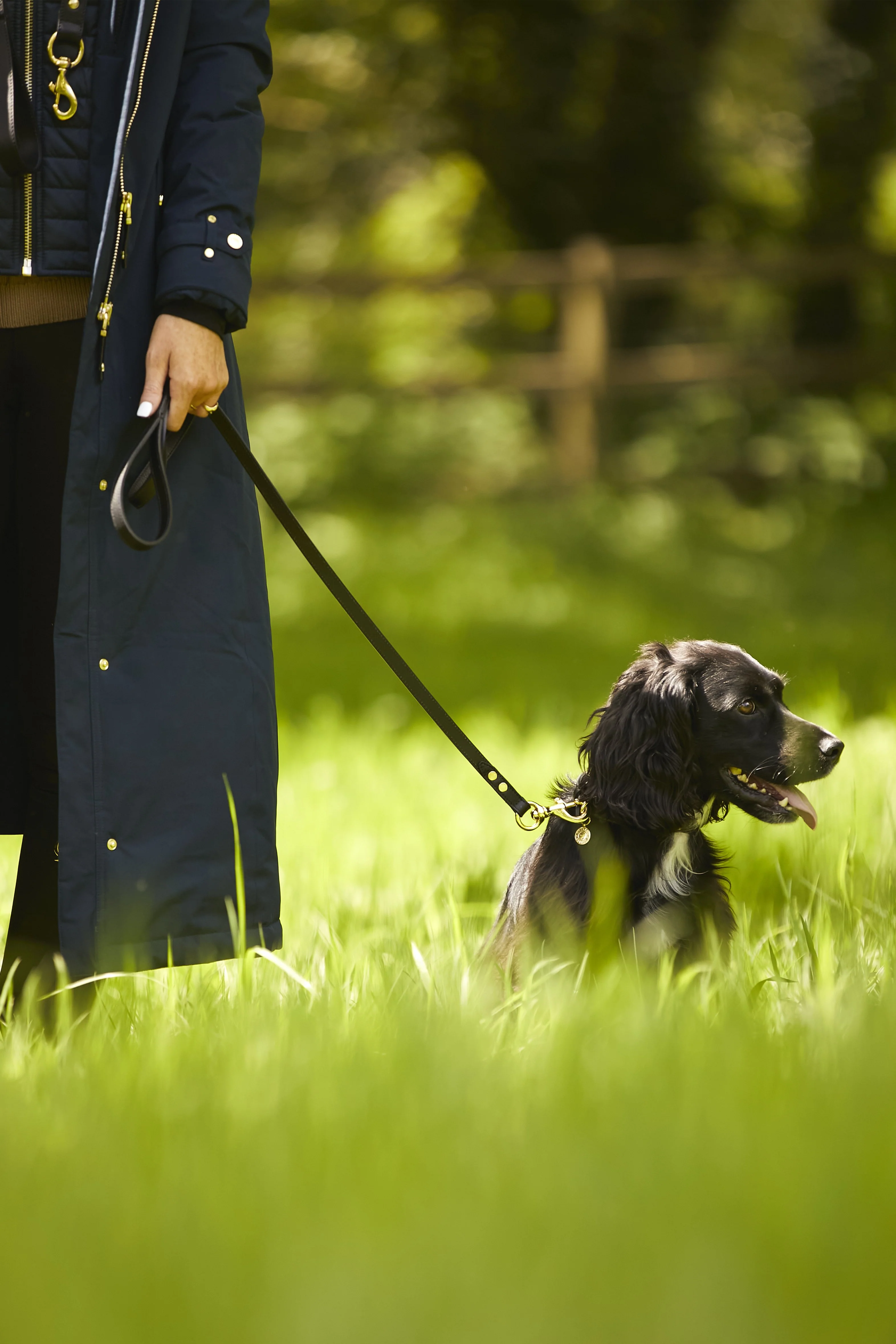 HC Slim Dog Lead (Black) - Image 2