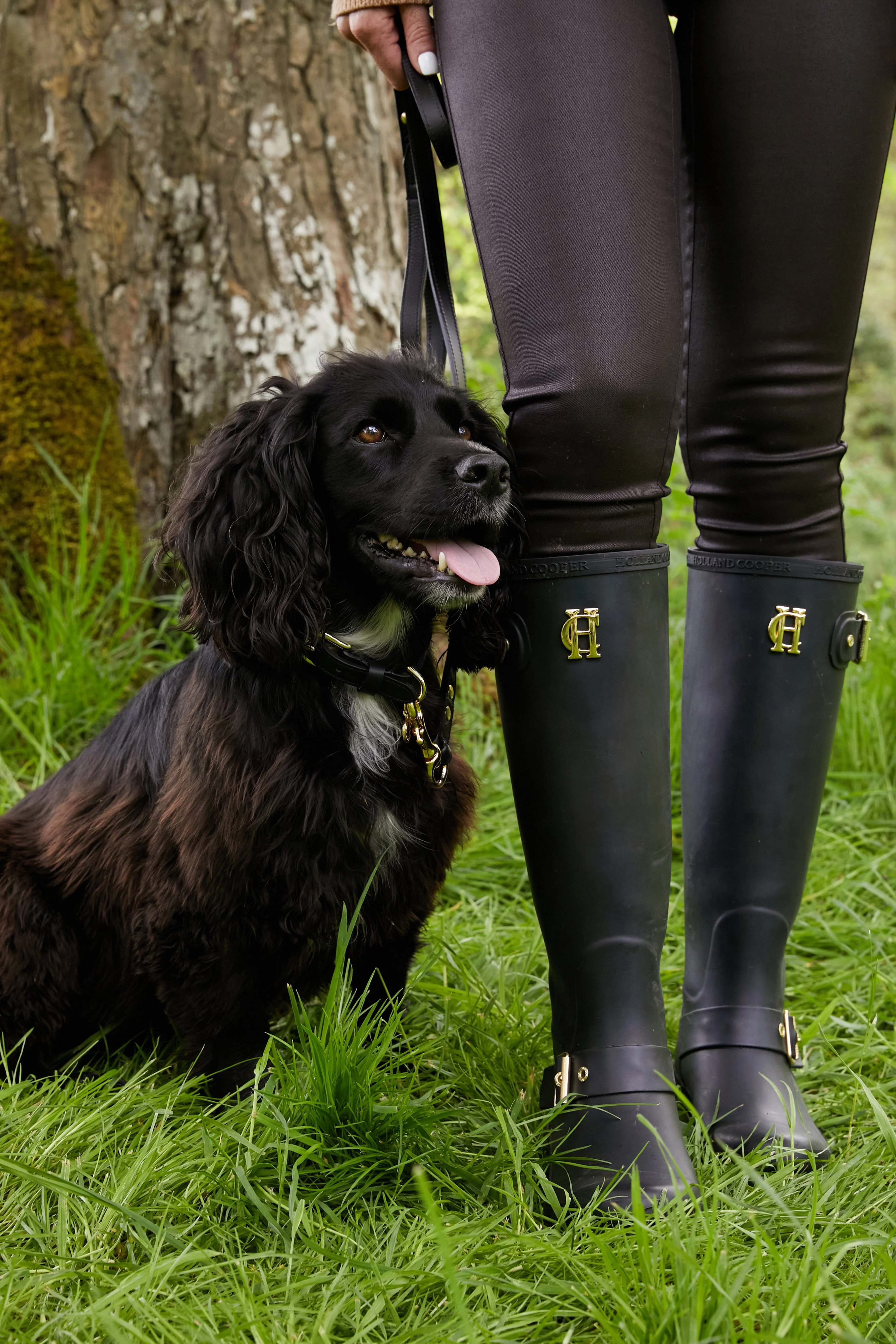 HC Studded Dog Collar (Black) - Image 3