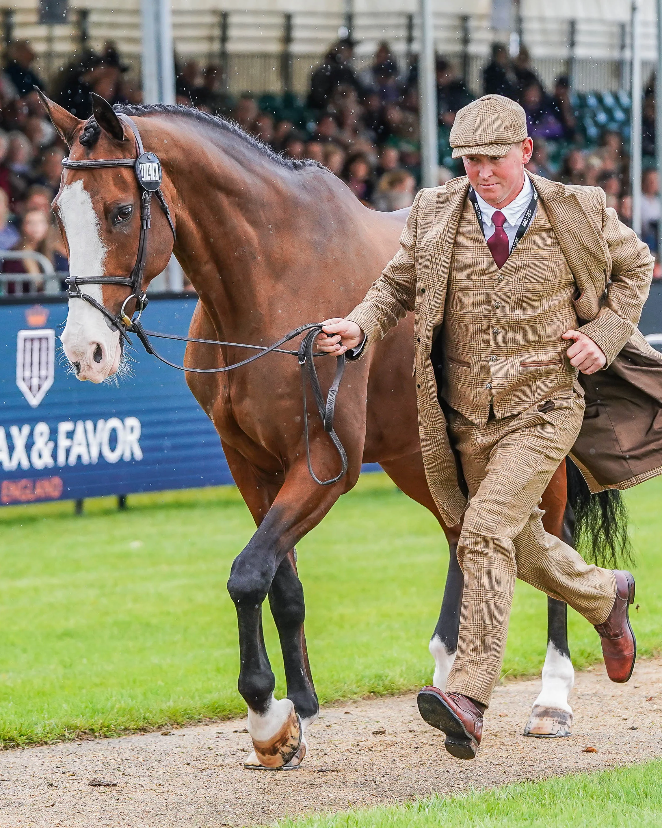 Matt Heath's Burghley Trot Up Look One - Image 2