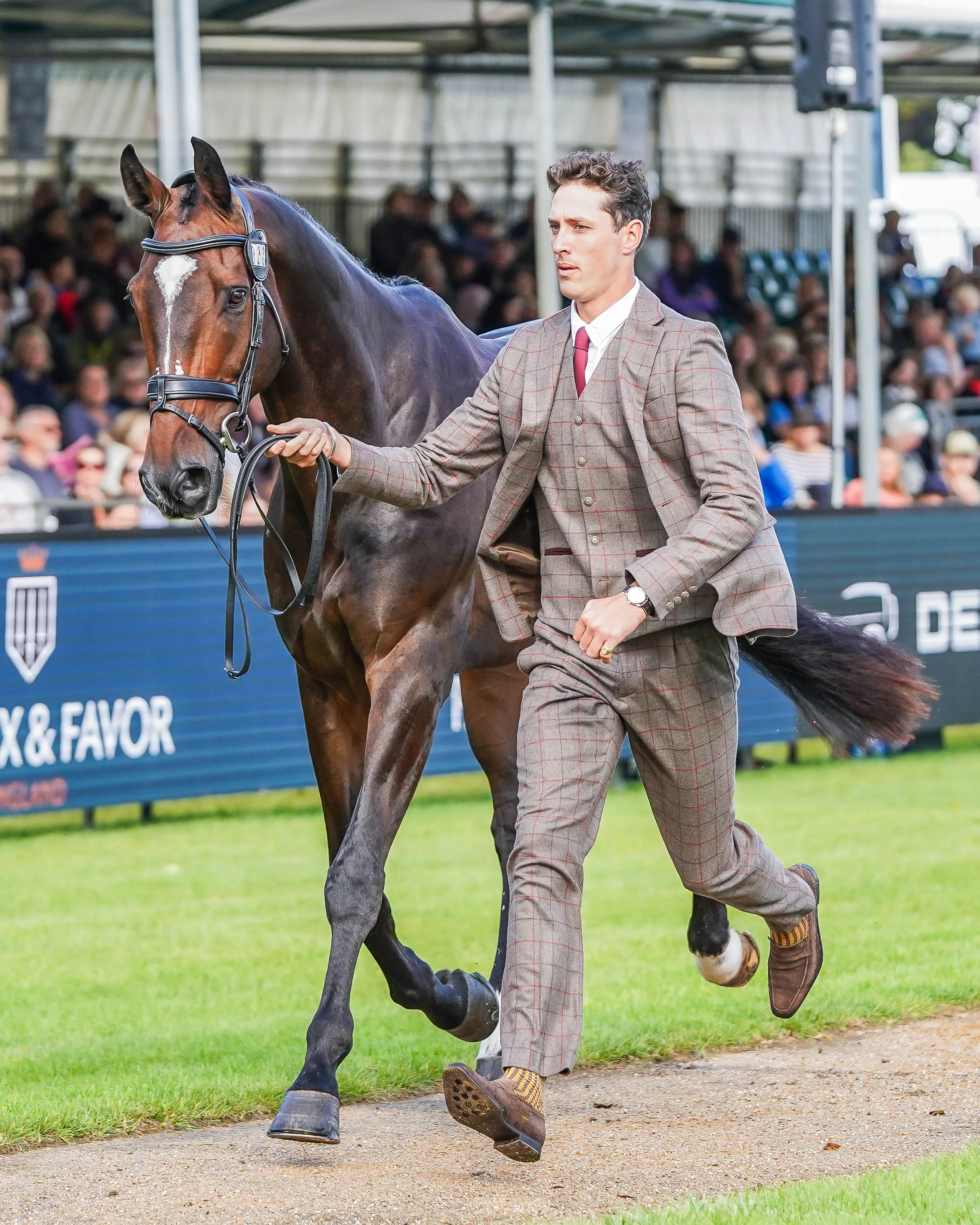 Will Rawlin's Burghley Trot Up Look One - Image 2